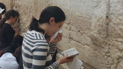 娱乐吃瓜君9,揭秘娱乐圈最新热点事件