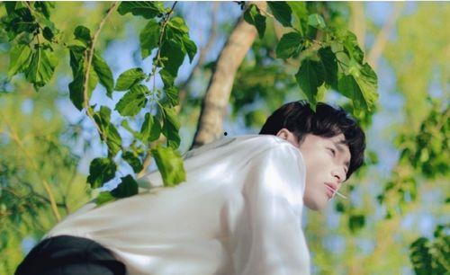 张艺兴娱乐吃瓜,幕后故事与精彩瞬间