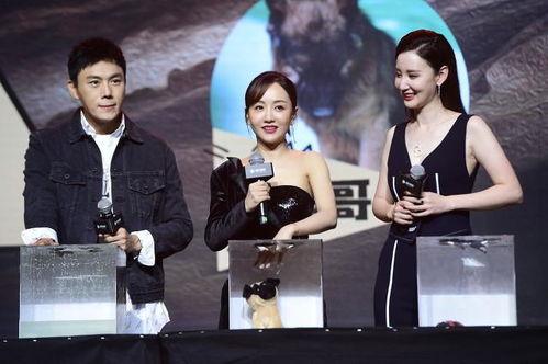 718娱乐圈吃瓜汇总,揭秘明星幕后故事,吃瓜汇总大盘点