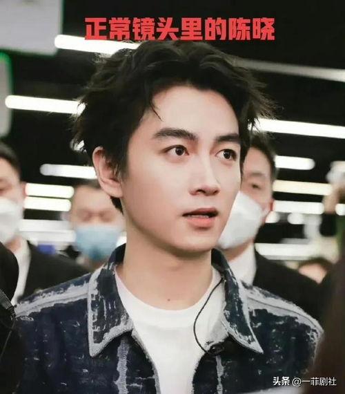 娱乐圈的吃瓜少年